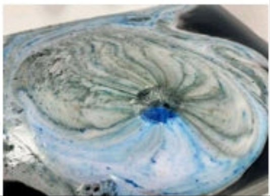 Black Lotus Bath Bomb